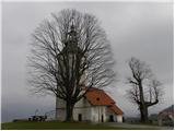 Polhov Gradec - Koreno